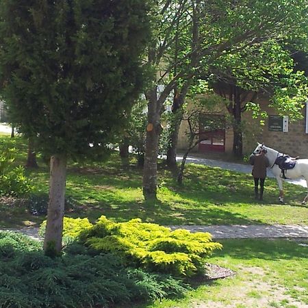 Alda Palas De Rei Екстериор снимка